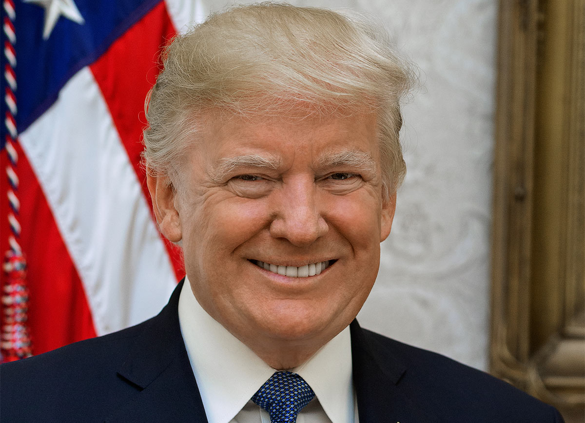 d trump portrait